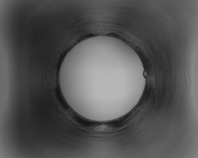X0000097490460200802220844