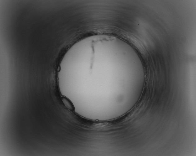 X0000097490461200802220844