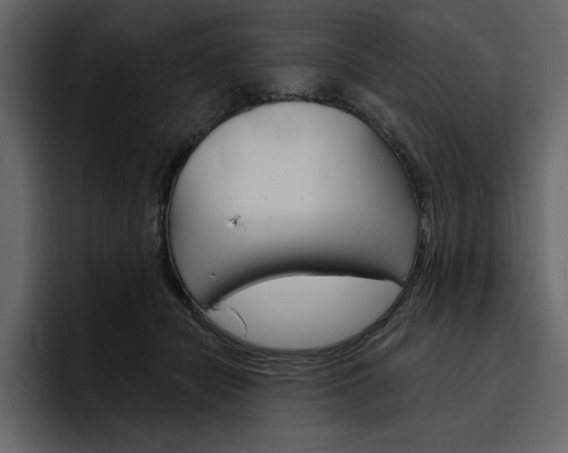 X0000097490462200802220844