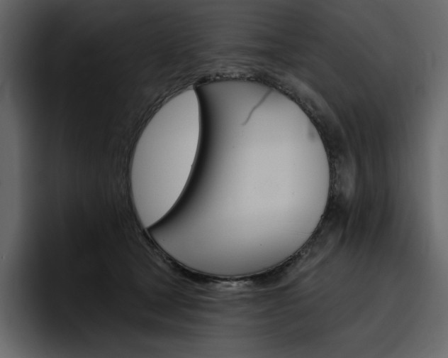 X0000097490465200802220844