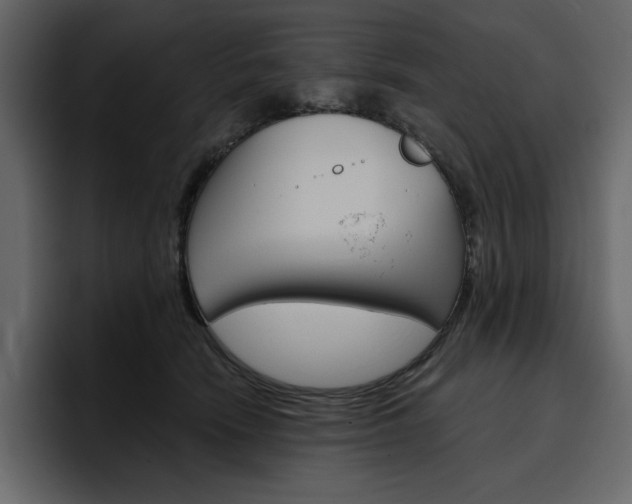 X0000097490466200802220844