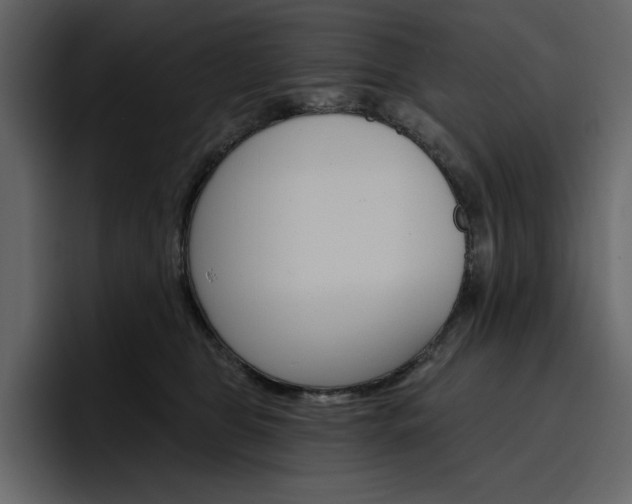 X0000097490469200802220844
