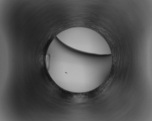 X0000097490470200802220844