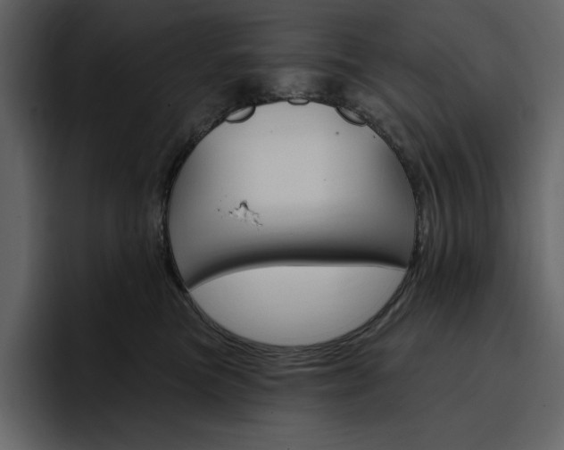 X0000097490473200802220844