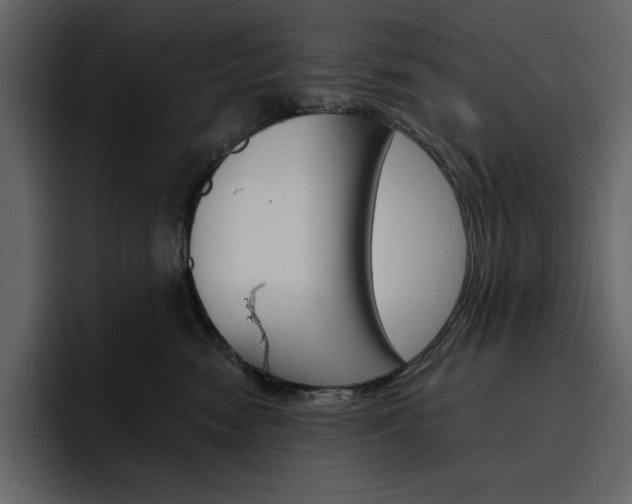X0000097490474200802220844
