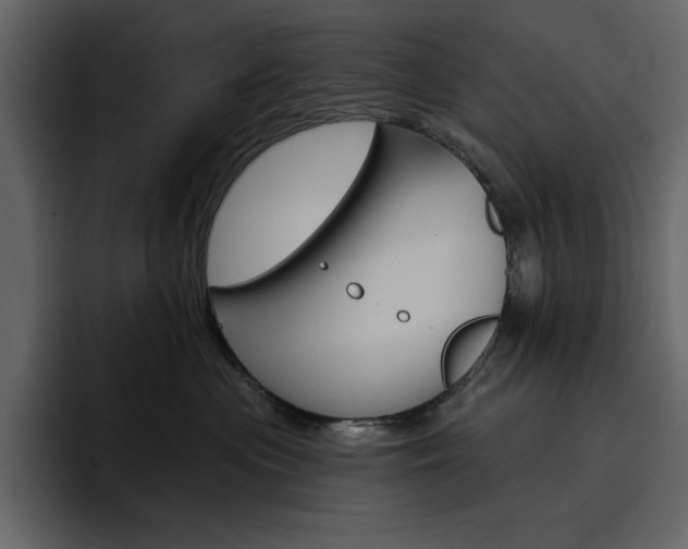 X0000097490477200802220844