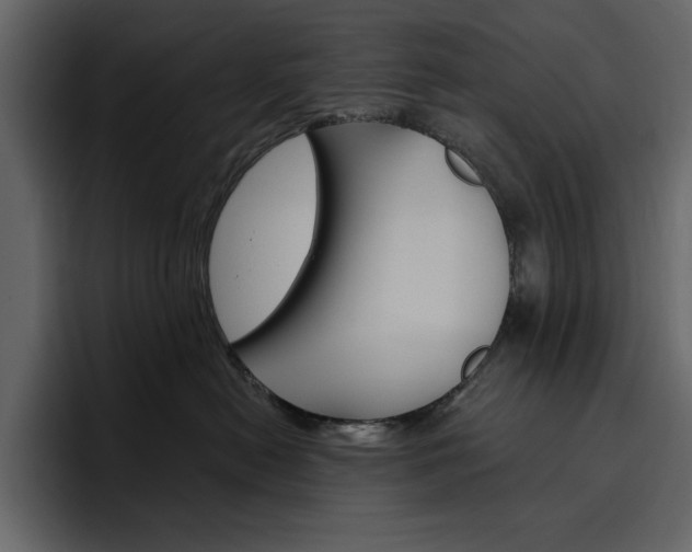 X0000097490478200802220844