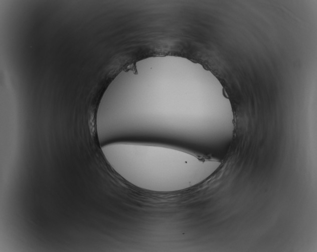 X0000097490479200802220844