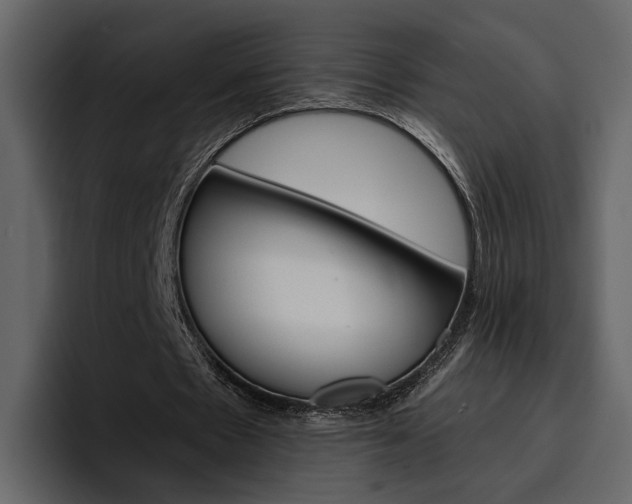 X0000097490481200802220843