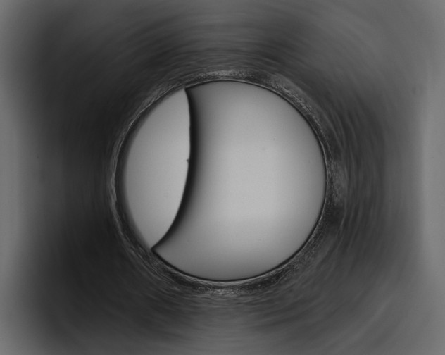 X0000097490482200802220843