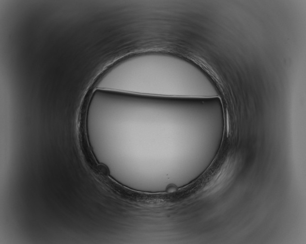X0000097490483200802220843