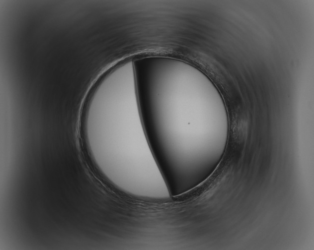 X0000097490484200802220843