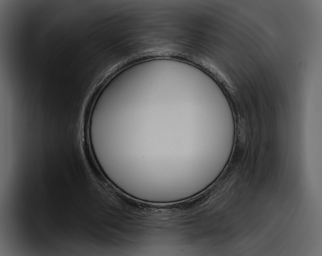X0000097490486200802220843