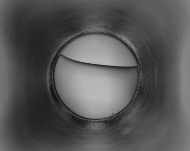 X0000097490487200802220843