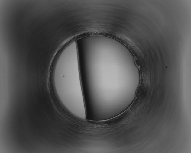 X0000097490488200802220843