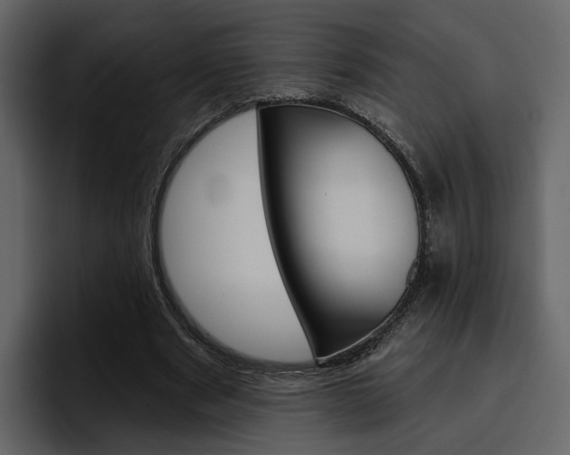 X0000097490489200802220843