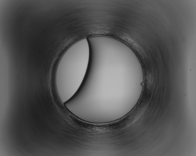 X0000097490490200802220843