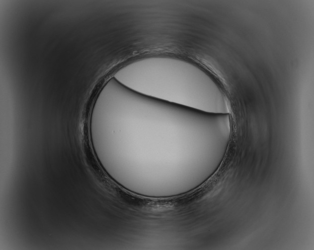X0000097490491200802220843