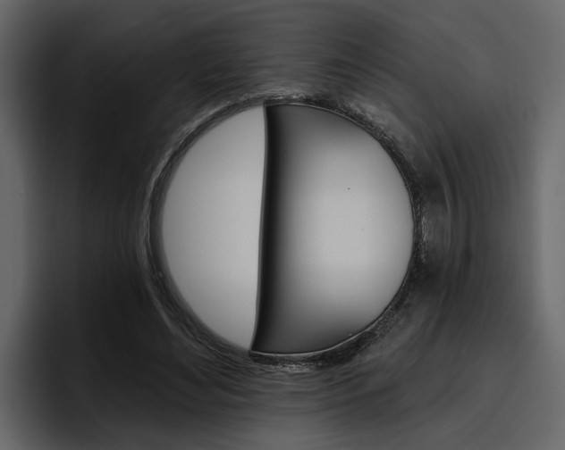 X0000097490492200802220843