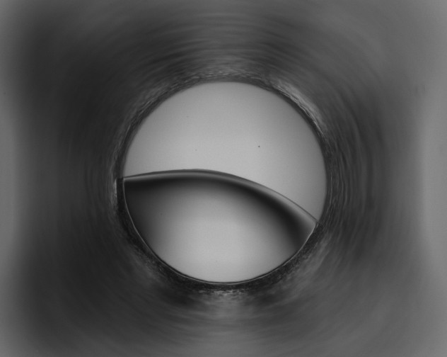 X0000097490493200802220843