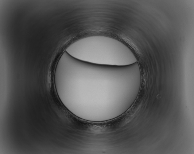 X0000097490494200802220843