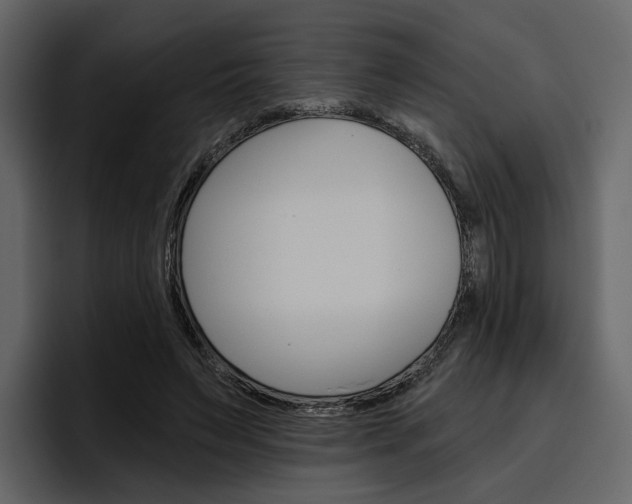 X0000097490495200802220843