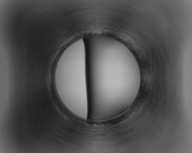 X0000097490496200802220843