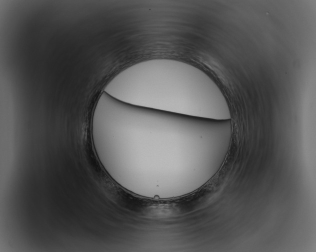 X0000097490499200802220843
