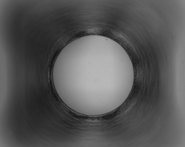 X0000097490502200802220843
