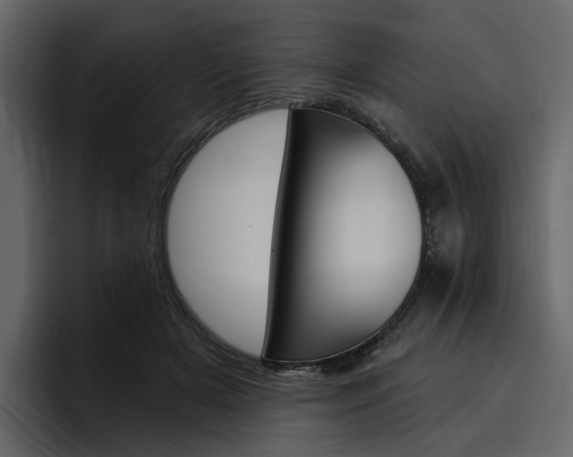 X0000097490505200802220843