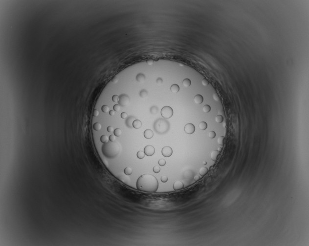 X0000097490507200802220843