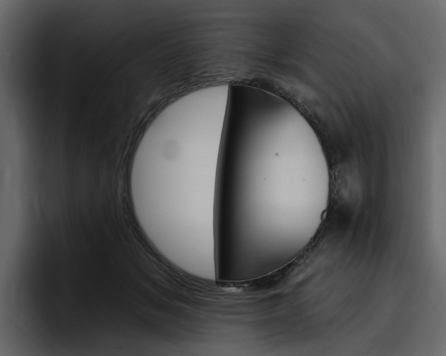X0000097490509200802220843