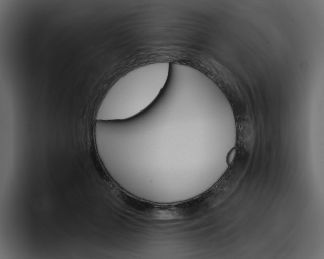 X0000097490510200802220843