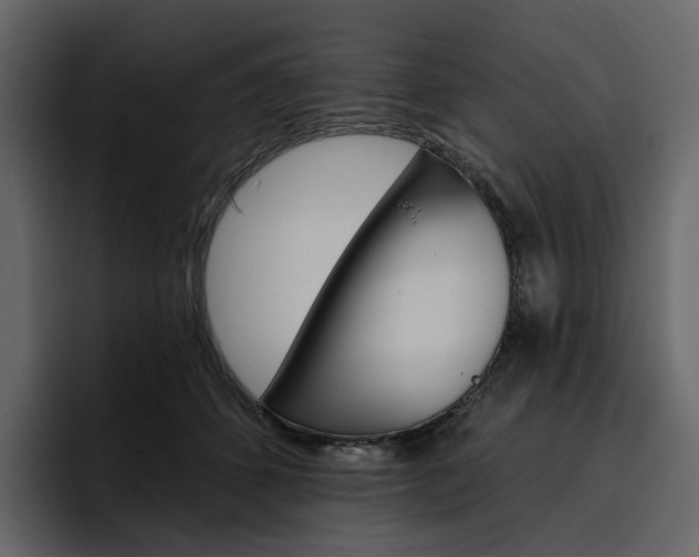 X0000097490512200802220843