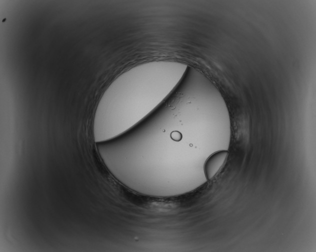 X0000097490515200802220843