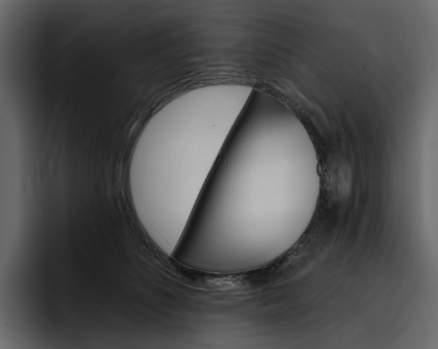 X0000097490516200802220843