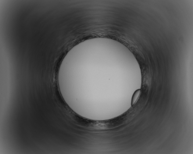 X0000097490518200802220843