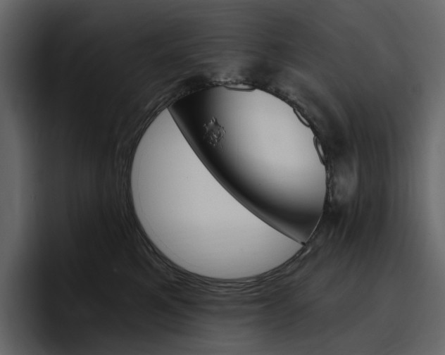 X0000097490521200802220843