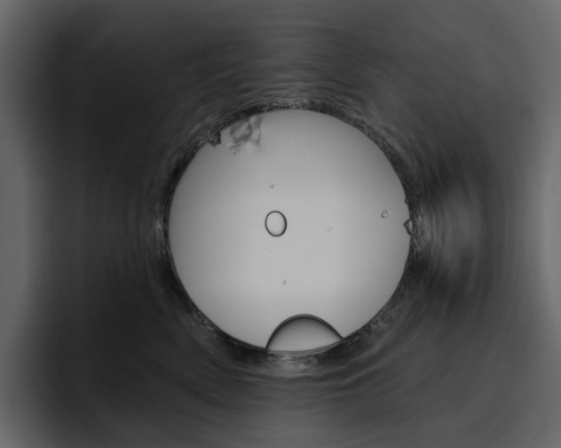 X0000097490522200802220843