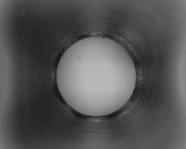 X0000097490523200802220843