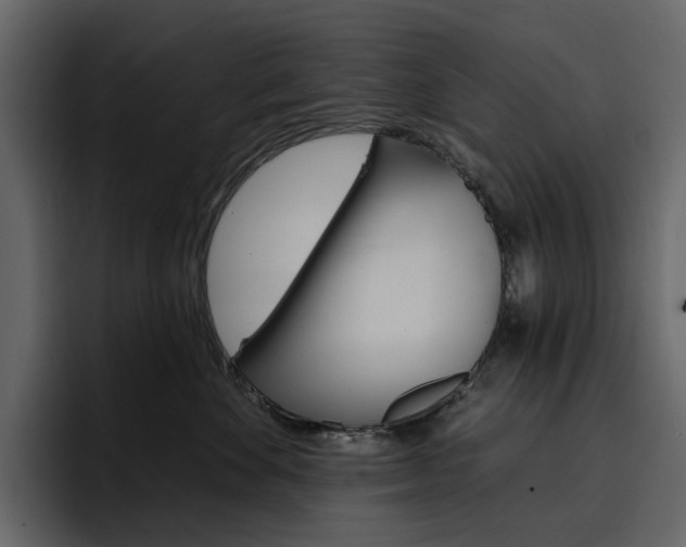 X0000097490524200802220843