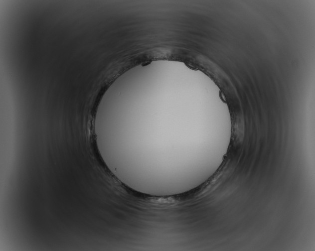 X0000097490525200802220843