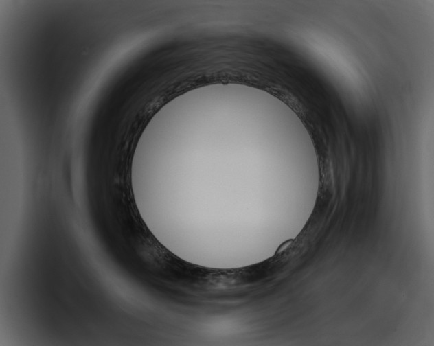 X0000097490526200802220843