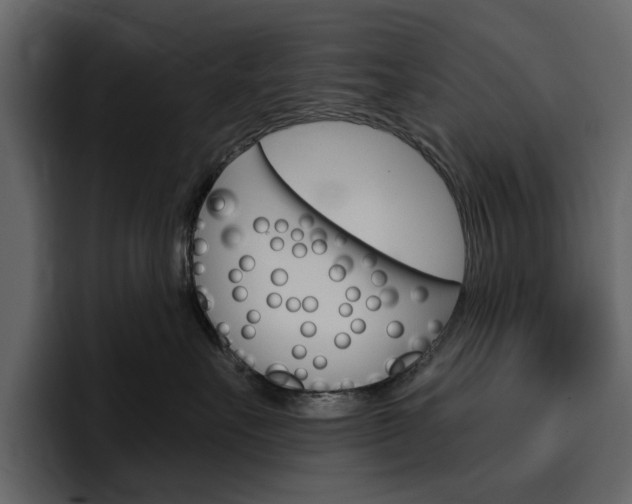 X0000097490527200802220843