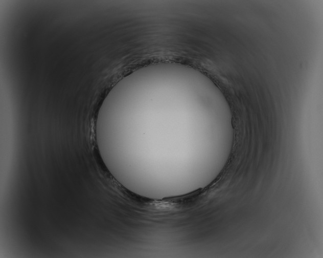 X0000097490528200802220843