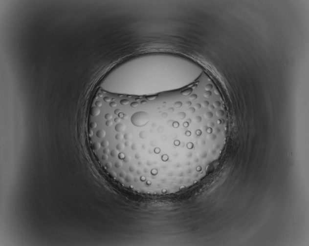 X0000097490529200802220842