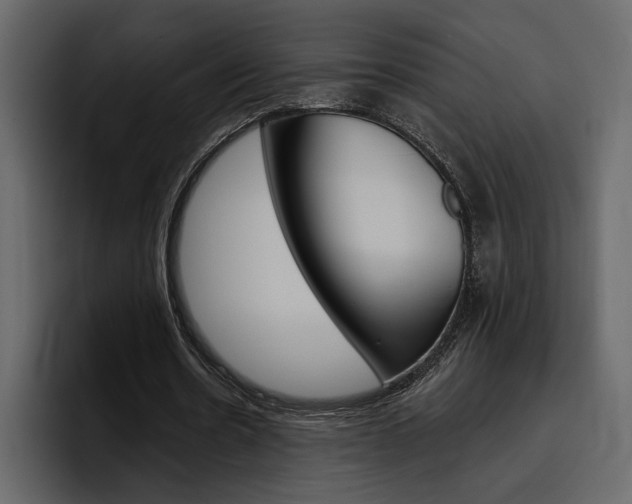 X0000097490530200802220842