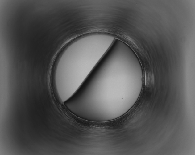 X0000097490531200802220842