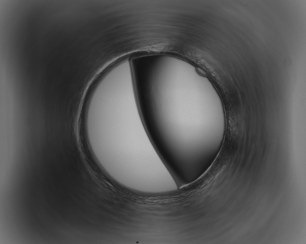 X0000097490532200802220842