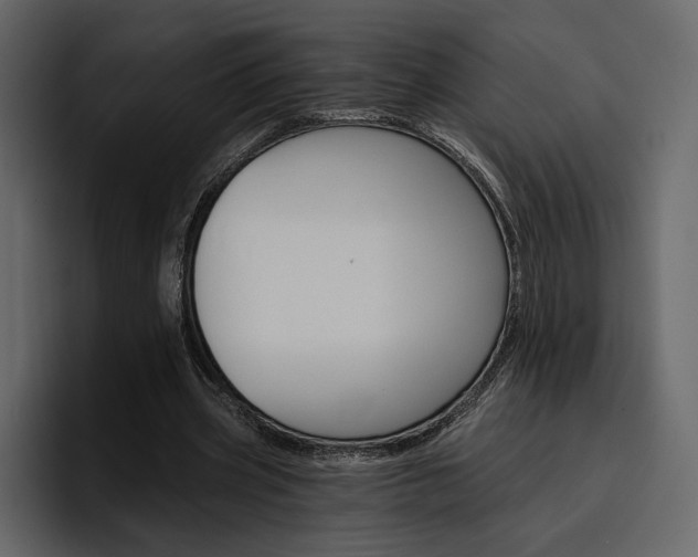 X0000097490533200802220842